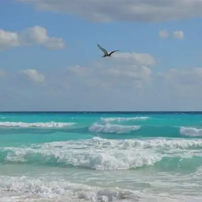 大海风景头像图片大全