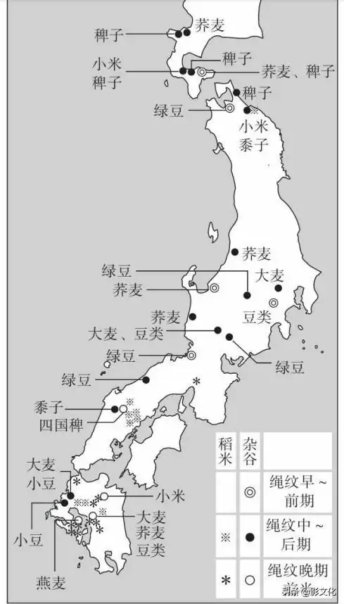 水稻传入日本列岛的路径东亚地区的水稻种植源自何方