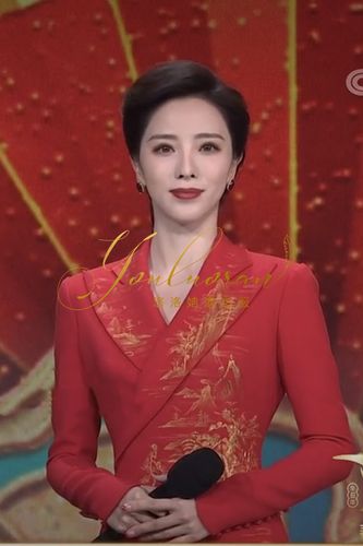 高端定制春晚主持人李思思同礼服主持人礼服金色刺绣红色礼服新