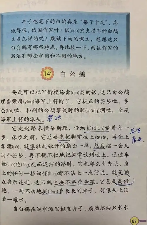 试听180秒151【课文赏析】《白公鹅》:紧紧围绕一个主题