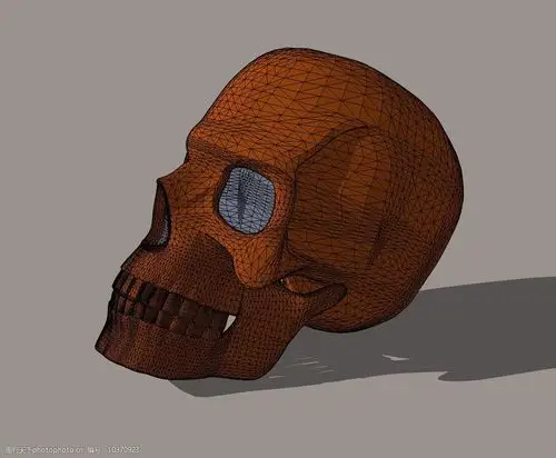头骨3d模型图片