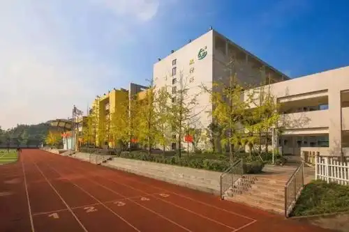 重庆到底有多少所树人小学?