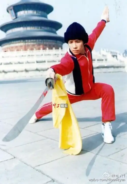 甄子丹儿时习武视频曝光功夫少年萌翻网友