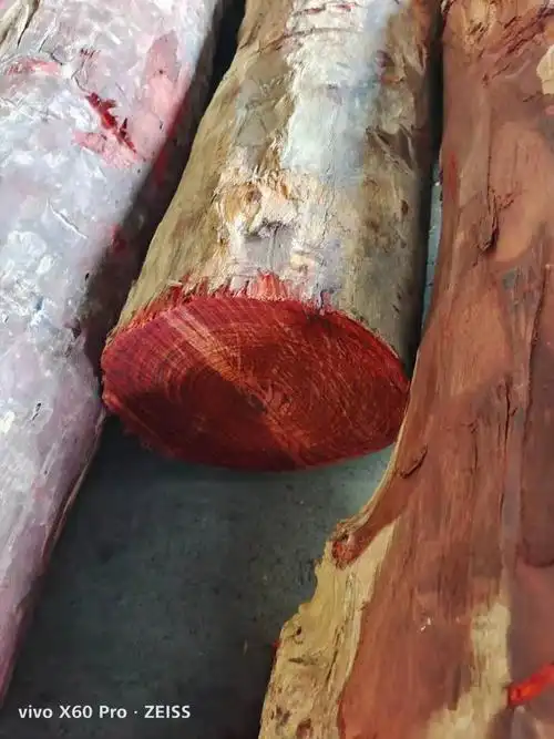 赞比亚血檀 刚果血檀 莫桑比克血檀 非洲小叶紫檀-阿里巴巴