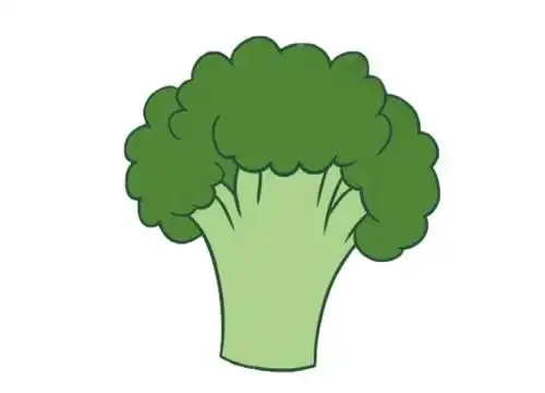 西兰花简笔画图片
