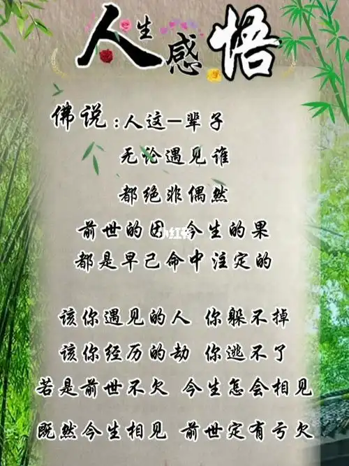 前世的因今生的果