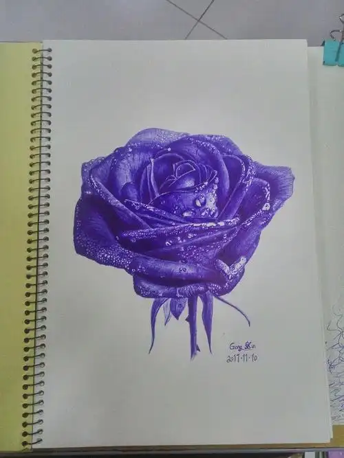 圆珠笔画