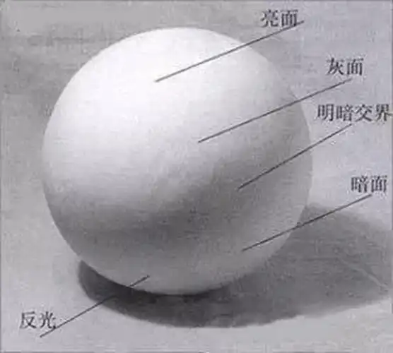 广州画室排名前三画室教你素描初学入门怎样画明暗交界线