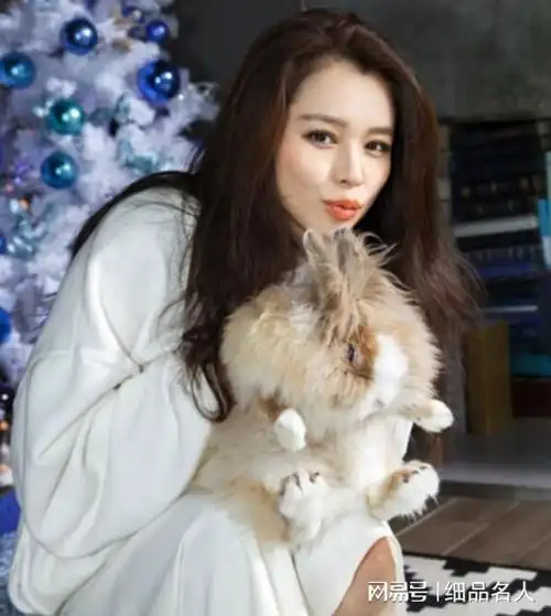 女星徐若瑄患甲状腺癌上热搜!她还有三大不幸|结婚|吴奇隆_网易订阅