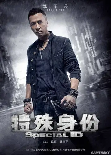 身怀绝技,出手不凡的陈子龙(甄子丹饰)是潜伏黑道多年的卧底,作为老大