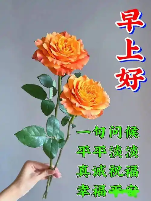 12月2日最新早上好祝福图片,早安问候祝福语大全._心情_人生_空气