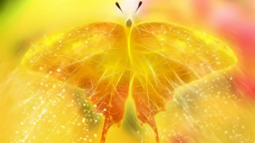 精美的金色光线蝴蝶 640x960 iphone 4/4s 壁纸,图片,背景,照片