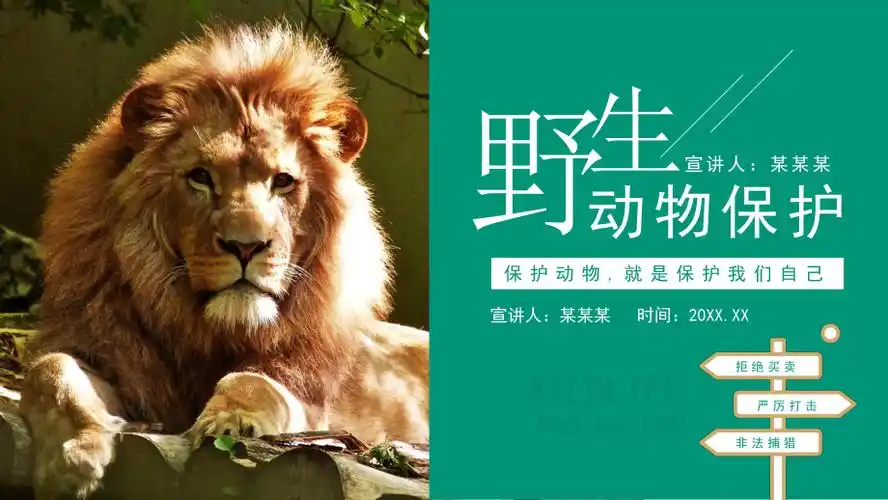 保护野生动物就是保护我们自己动态ppt