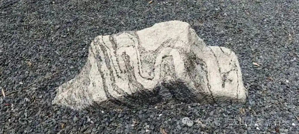 一分钟学会岩石学1.0:给石头起个名字!