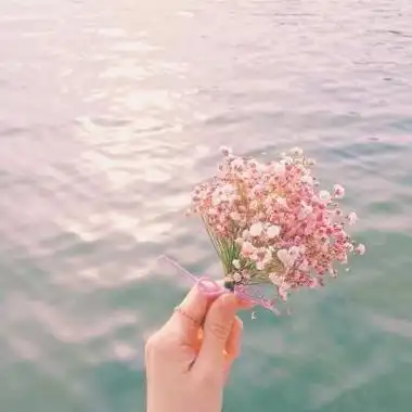 招财头像花高清漂亮的招财吉祥微信头像花的图片大全