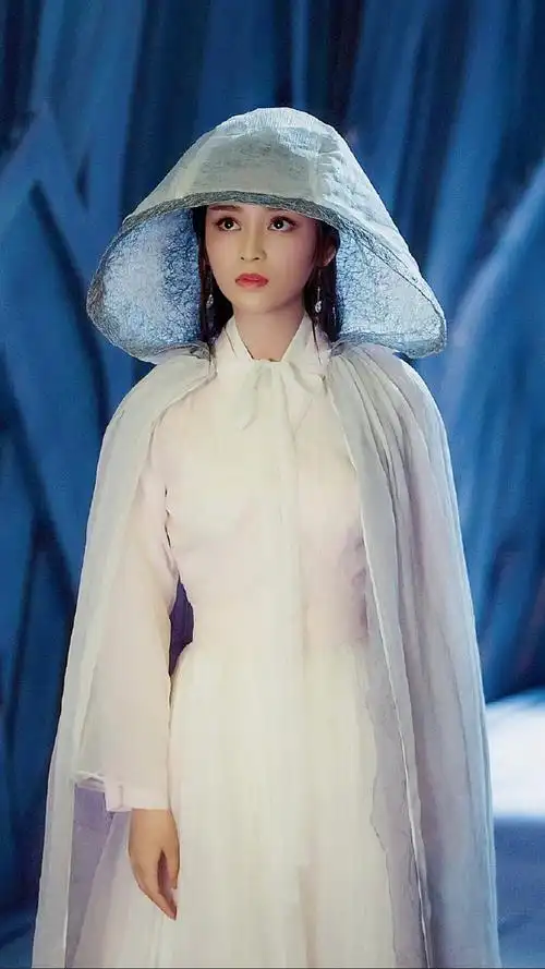 香蜜沉沉烬如霜穗禾王一菲