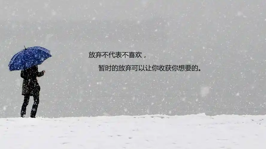 想要放弃一段感情的唯美带字图片