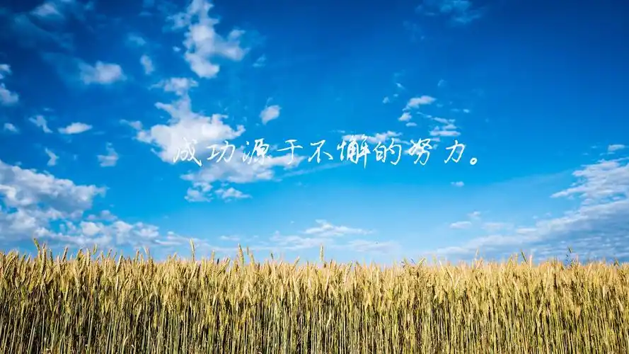 我的网校 - 兵团开放大学