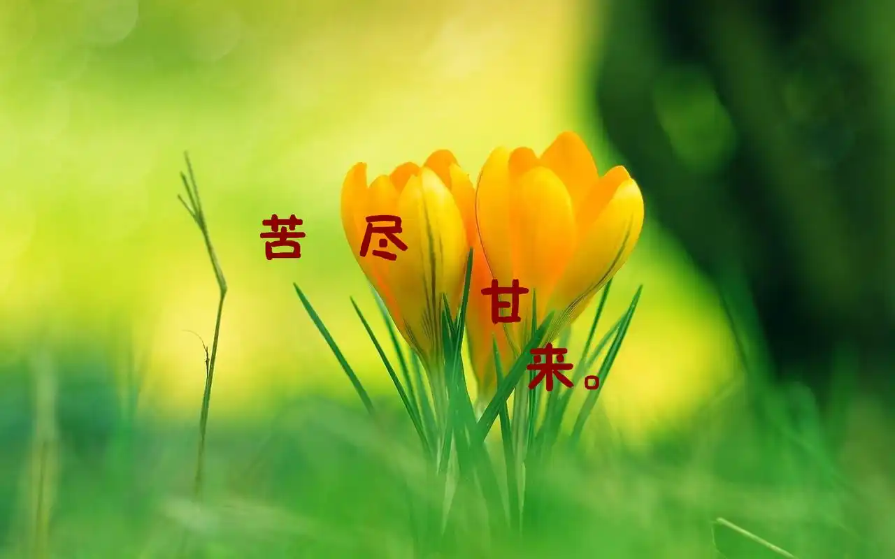 小清新奋斗风景宽屏高清桌面壁纸高清大图预览1920x1200_设计创意下载