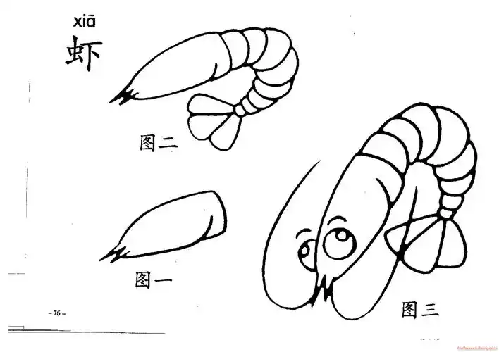 简笔画《虾》画法