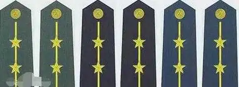 上将陆军上将军衔主要标识为,松枝绿色肩章底版上,缀有金色枝叶和三颗