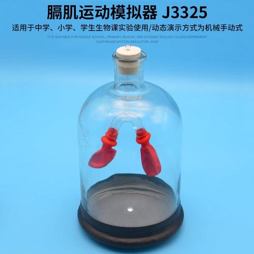 膈肌运动模拟器 j3325 中学生物实验器材模型 初中高中 教学仪器