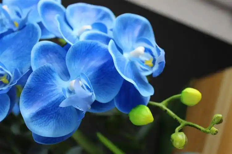 仿真花批发假花批发塑料花盆景套装花艺整体套装兰花手感蝴蝶兰花-阿