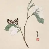 古风素雅清淡的头像【点击鼠标右键下载】