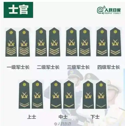 一级军士长相当于什么级别军官待遇(一级军士长享受什么级别)