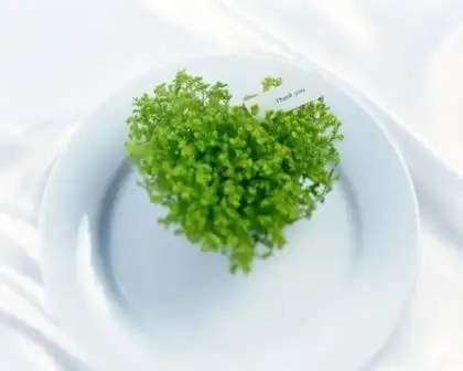 个性签名最新发布[36句] (qq签名男生帅气冷酷)-支点短文学