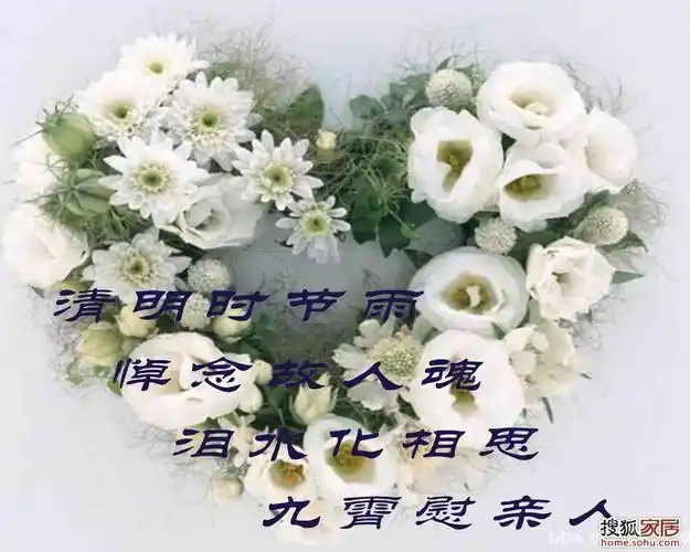 无尽的思念,永远的心痛._陶琳纪念馆_陶琳纪念馆留言_典藏6099282号