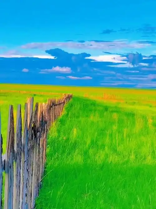 如果自由有形状那大概就是呼伦贝尔大草原