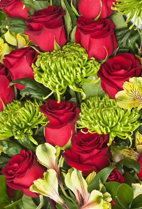 花图片_花图片大全_全景图片