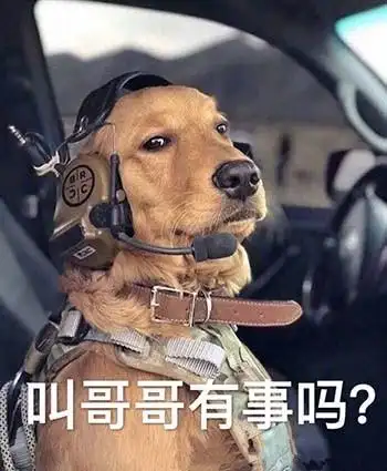 可以讲睡前故事吗表情包 - 可以讲睡前故事吗微信表情包 - 可以讲睡前