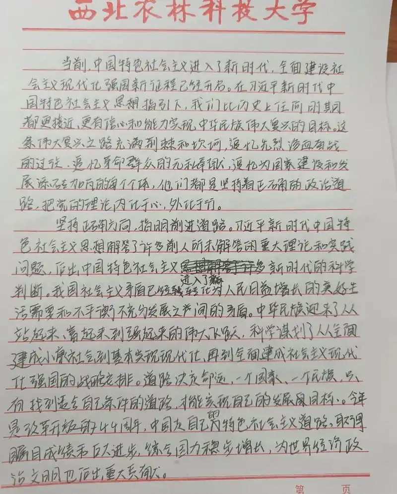 改革开放史结课论文