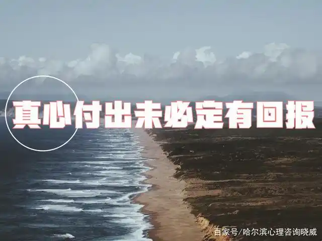 任何感情,婚姻都是需要付出真心的,但真心的付出是否能换来对方相应的