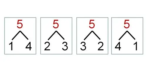 多彩网课科学篇——5的分成