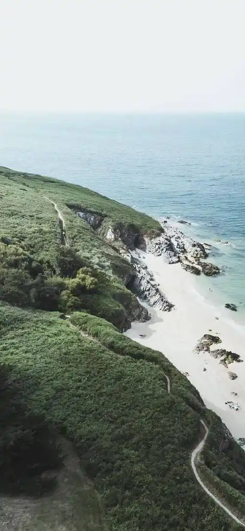 壁纸 桌面 690_1495 竖版 竖屏 手机