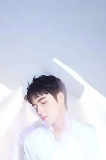 年年皆胜意好不好