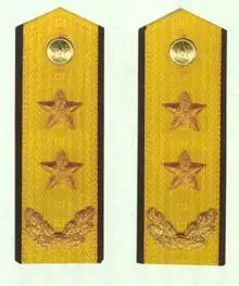 解放军各军种肩章,军衔等级