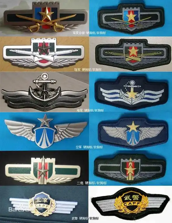 致敬07式pla/capf - 抖音