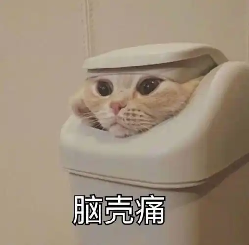 脑壳痛猫咪近期热门无水印表情包奉上斗图表情