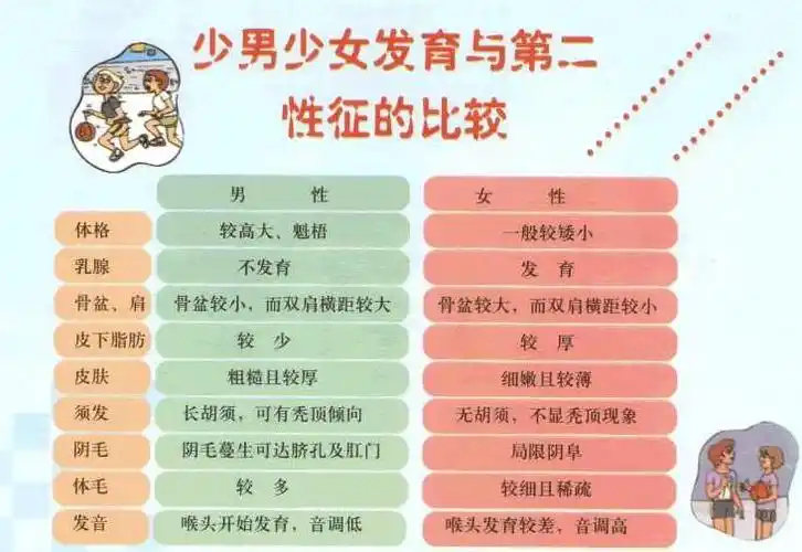 女性健康第二性征