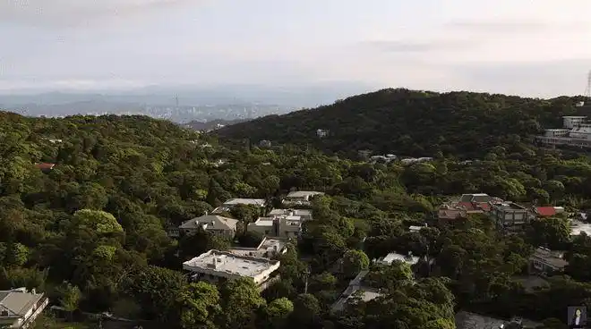 台湾470平豪宅俯瞰整座阳明山仅一棵树就值70万