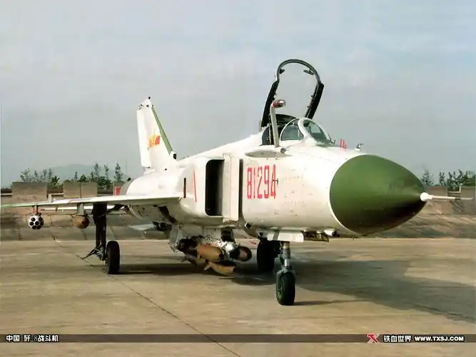 j-8,英文:shenyang j-8或f-8,北约代号:finback,译文:长须鲸)战斗机