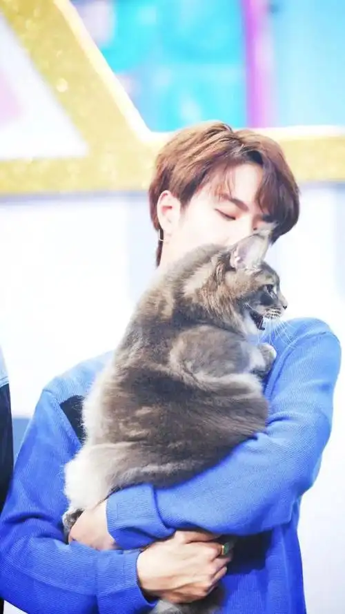 王一博抱猫比肖战暖心?粉丝们:太宠溺!