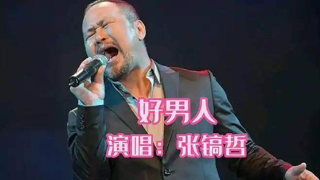 推荐张镐哲的经典代表作(好男人)-影视综视频-搜狐视频