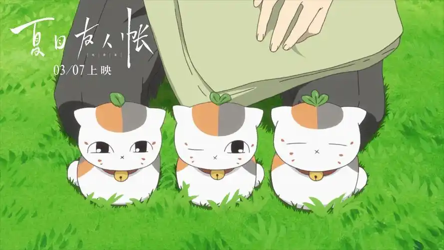 可爱的猫咪老师800x600分辨率查看