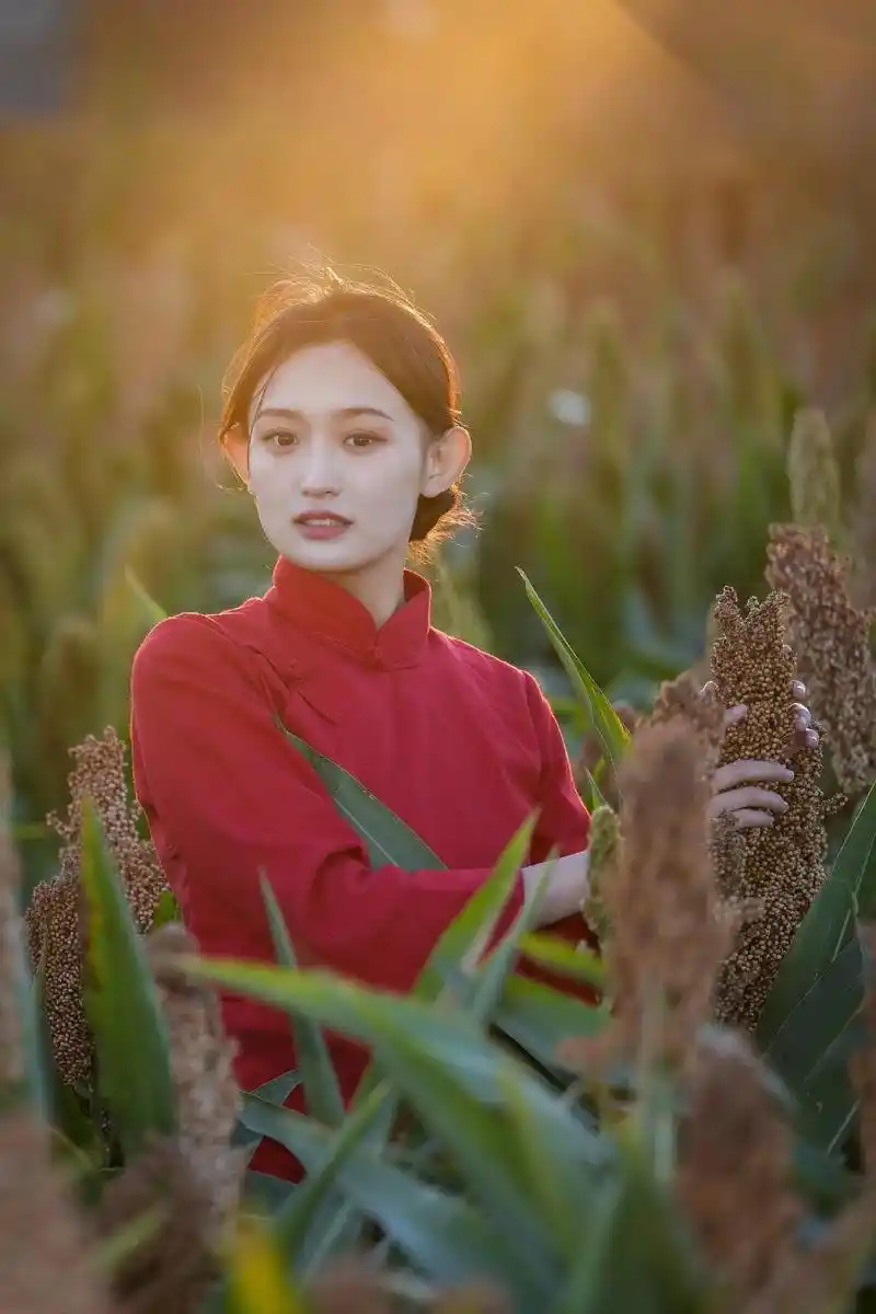 【红高粱】#原创摄影 #金秋十月 #秋天是收获的季节 #丰收 - 抖音