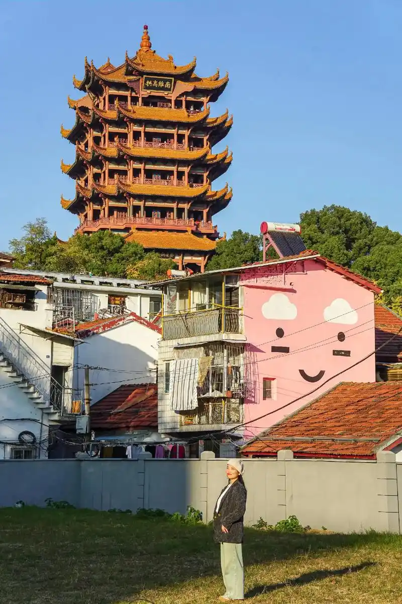 樱花季来武汉,这79条路线一定不能错过6015